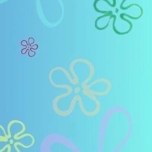 Meet your Posher, Adi